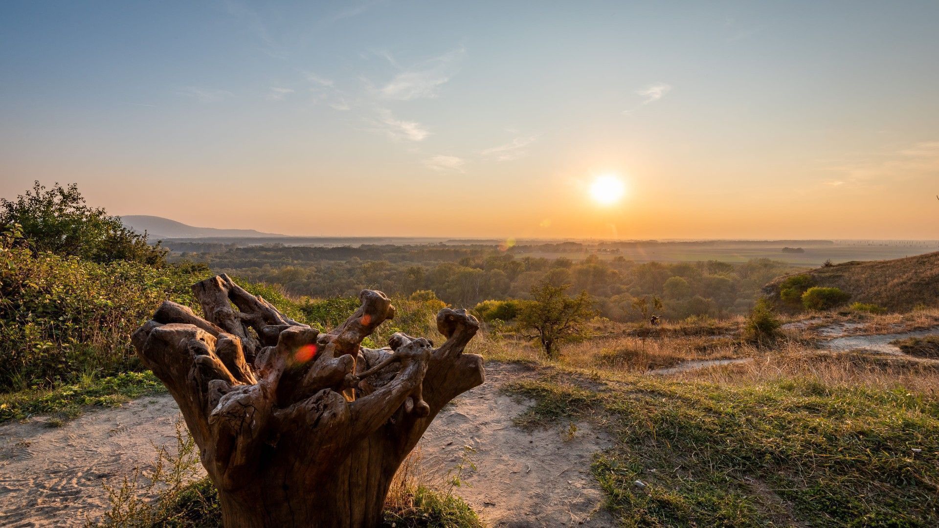 Cesta do praveku: vyberte sa na paleontologickú výpravu